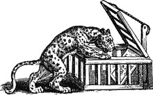 Sneaky Circus Tiger, Vector Sketch Of A 19th Century Engraving