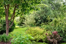 Landscape Design Of A Beautiful Well Maintained Garden With  Lawn