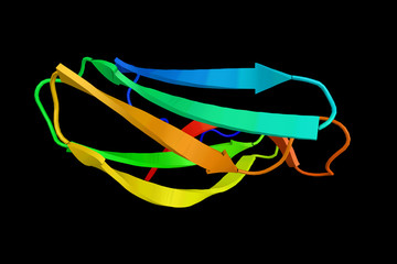 Poster - Alpha-amylase inhibitorhoe-467a, member of a protein family which inhibits mammalian alpha-amylases. This family of inhibitors has no action on plant and microbial alpha amylases. 3d rendering