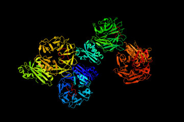 Wall Mural - Structure of tolb in complex with a peptide of the colicin e9 t-domain. Colicin is a type of bacteriocin produced by and toxic to some strains of Escherichia coli. 3d rendering