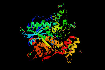 Poster - Ethylphosphorylated Butyrylcholinesterase, a member of a family of evolutionarily related proteins. 3d rendering