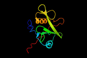 Poster - Fer protein, which regulates cell-cell adhesion and mediates signaling from the cell surface to the cytoskeleton via growth factor receptors. 3d rendering