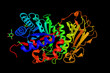 Heparanase, an enzyme that acts both at the cell-surface and within the extracellular matrix to degrade polymeric heparan sulfate molecules into shorter chain length oligosaccharides. 3d rendering