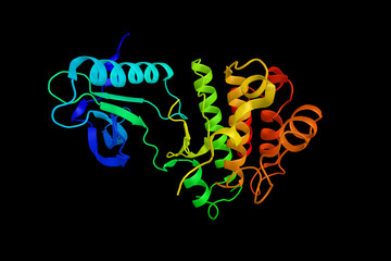 Poster - Kinase insert domain receptor,  a VEGF receptor. Also known as Flk1 (Fetal Liver Kinase 1). 3d rendering