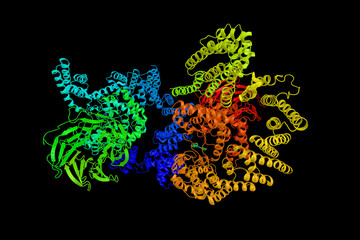 Poster - Mechanistic target of rapamycin, a protein which regulates cell growth, cell proliferation, cell motility, cell survival, protein synthesis, autophagy, and transcription. 3d rendering