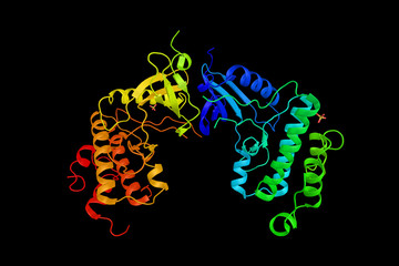 Poster - MAP kinase-interacting serine/threonine-protein kinase 1, an enzyme shown to interact with MAPK1 and Eukaryotic translation initiation factor 4 gamma. 3d rendering