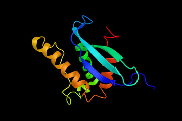 Sticker - Neutrophil cytosol factor 1, cytosolic subunit of neutrophil NADPH oxidase. 3d rendering