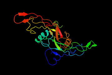 Poster - Transforming growth factor beta 1, a polypeptide member of the transforming growth factor beta superfamily of cytokines. 3d rendering