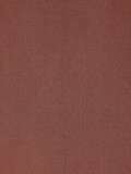 Fototapeta Zwierzęta - Textured woven Plain Fabric texture rust colored