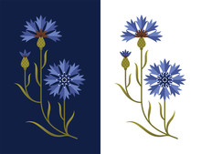 Stylized Cornflower Illustration