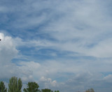 Fototapeta Niebo - clouds over the trees