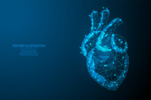 Human Heart Close Up. Organ Anatomy. Blood Supply System. Hypertension, Heart Attack, Stroke, Arrhythmia. Innovative Medicine And Technology. 3d Low Poly Wireframe Vector Illustration.