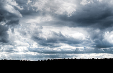 stormy sky over the forest