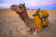 desert of  Jaisalmer the golden city, an ideal allure for travel enthusiasts, Sam Sand Dunes
