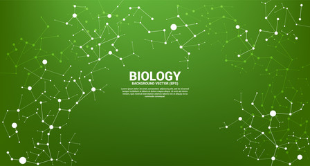 Poster - network line connecting dot molecule on green background. concept of biology chemical and science.