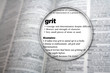 An illustrative concept design to explain the word 'Grit'.
