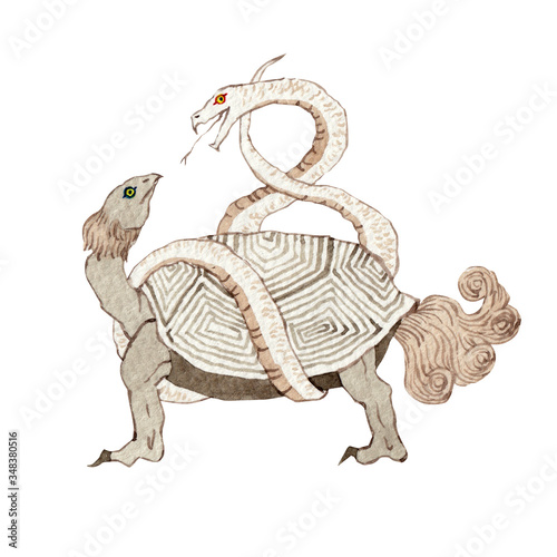 Xuanwu Obrazy Plakaty Fototapety Na Sciane Fotodruk Pl