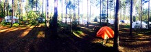 View Of Campsite In Forest