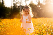 Little toddler girl in a white dress picking flowers in a black eye Susan flower field.  Child in a flower meadow at sunset with yellow flowers. 