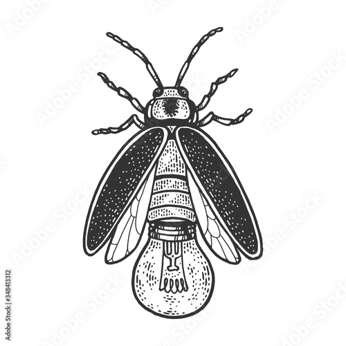 Photographie Firefly insect beetle with lamp bulb sketch engraving vector illustration
