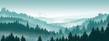 Pine Forest Illustration Background In Green Mountains，Forest Illustration