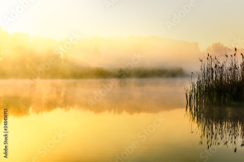 Fotomural Golden Foggy Morning over Ponds