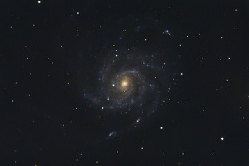 Wall Mural - The Pinwheel Galaxy Messier 101 in the constellation Ursa Major photographed with a Maksutov telescope from Mannheim in Germany