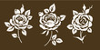 Set of decorative vintage roses silhouette. Beautiful flower icons with leaves and buds. Vector illustration.