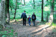© AnastasiaStark - Family with children hiking in the forest. Tourists travel through the woods.Scout kids and dad explore the beautiful forest. Adventure Time.