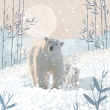 Polar Bear Family In The Snow