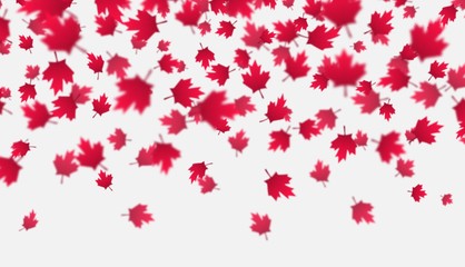 falling red maple leaves background. canada day, july 1st celebration concept. flying autumn foliage