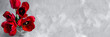 © Дина Сова - red tulips bouquet on spotty blurry gray banner background