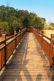 Fototapeta Pomosty - Wooden bridge over little river in city park