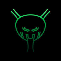 Poster - Bladder, organ nolan icon. Simple thin line, outline vector of Human organ icons for ui and ux, website or mobile application