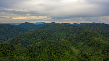 Sticker - Mountain rainforest landscape aerial drone photo 