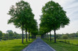 Weg und Bäume in einem Park in Gelsenkirchen