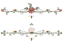 Set Of Floral Vector Dividers With Bees, Rose And Clover