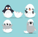 Fototapeta Pokój dzieciecy - Cute Baby penguins hatched in egg vector