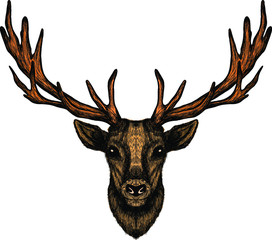 deer head with big horns brown