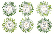 Set Of Circle Frame Herbs In Green Wreaths. Element Design Vector Illustration. Isolated On White Background. Perfectly For Greeting Card Design. 