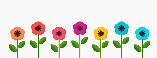 Wall Mural - colorful flat flowers growing in the garden.