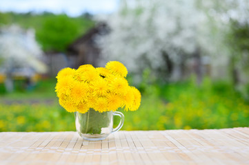 A bouquet of yellow flowers stands on a table against the background of a green garden