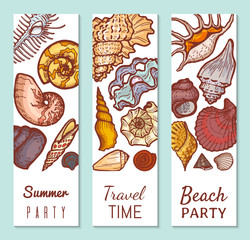 Sticker - Sea shell poster concept banner, summer party travel time and beach gathering flat vector illustration. Tropical vacation, explore ocean cockleshell flora fauna, relax weekend summer period.
