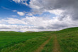 © Alwih - Beautiful spring and summer landscape. Mountain country road among green hills. Lush green hills, high mountains. Spring flowering grass.