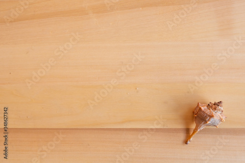 Cuadros en Lienzo Fondo de madera con caracola en una esquina.