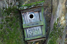 Close-up Of Birdhouse On Tree