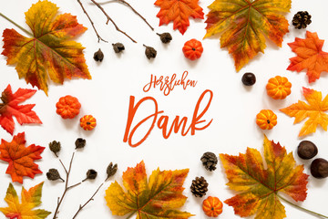 Wall Mural - beautiful calligraphy of german text herzlichen dank means thank you. frame of bright colorful autum