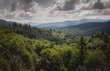 Widok na bieszczadzkie lasy z wieży widokowej w okolicy Cisnej.