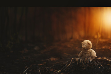 Lonely teddy bear in the  burnt forest.Global warming/Ecology concept background.