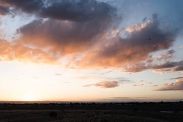 Wall Mural - An airplane flying close to the ground during a sunset. 